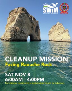 CLEANUP MISSION — FACING RAOUCHÉ ROCKS

This Saturday, Civil Defence members @lebanesecivildefense will rappel down the cliffs of Raouché for a challenging cleanup to restore our national and touristic landmark — From 6:00 AM until 4:00 PM — while @swiminitiative clean the waters and caves below — From  8:00 AM until 10:00 AM.

A Joint Operation “ TO PROTECT WHAT WE LOVE“. 
This is a coordinated Mission, not a Public event. . 

#civildefence #swiminitiative #raoucherocks #cleanup #environment #sustainability #touristicsite #nationalwealth #cleansea #cleanpublicspace #sustainabletoutism #responsibletourism #individualresponsibility #collectivework 

هذا السبت، سيقوم عناصر @lebanesecivildefense بالنزول بالحبال على منحدرات الروشة لتنفيذ مهمة تنظيف صعبة تهدف إلى إعادة إحياء هذا المعلم الوطني والسياحي — من الساعة السادسة صباحًا حتى الرابعة بعد الظهر — بينما يقوم متطوعي SWIM Initiative بتنظيف الشواطئ والمغاور أسفل المنحدرات.

" عملية مشتركة لحماية ما نحب " هذه مهمة منسقة وليست حدثًا عاماً