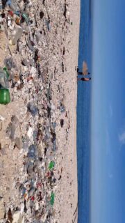 Rotate your phone to watch this reel 📱✨

THE SEA IS YOURS !
Pollution in Lebanon is no longer something we see, 
it’s something we live.
It has moved beyond our beaches, into our soil, our water, our food.
Invisible microplastics now run through our bodies.
Trash floods our shores, our streets, our forests.
This is not a future threat.
It’s happening now.
Don’t watch. Act !
Be a better citizen.
Think sustainable. Act responsible. Keep our environment clean for a better tomorrow. 
#sustainability #environment #sea #pollution #clean #keepitclean #plasticpollution #microplastics