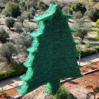 Looking back at the Cedar of Hope 🌲 | November 15
What an honor to be part of this historic moment with @carolinechaptini , 6-time Guinness World Record holder, renowned for her large-scale environmental art made from recycled materials.
It was a true pleasure to be among the first to start shaping the tree from scratch alongside the amazing Lebanese American University (@lebamericanuni ) Business Department students, who fulfilled their volunteer hours with dedication through @swiminitiative.
Even weeks later, the spirit of Hope and Unity continues to inspire our mission. We believe that collaboration and mutual support are key to spreading environmental awareness.
♻️ Remember: recycling at the source is essential to protect our environment from further pollution.
If you haven’t started yet—it’s time to do so.

#environmentalaction #civicengagement #communityservice #Teamwork #GuinnessWorldRecord #collaboration #lebanon #maketheworldabetterace