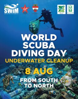Sustainability starts at the source, and the SEA is vital to the continuity of LIFE 🌊💙
The heatwaves we’re experiencing today are a reminder that our actions have consequences. Yet there is still time to change course.
JOIN US this Saturday, August 8, from 9:00 AM to 11:00 AM at Ramlet El Bayda, Beirut, for a Beach Cleanup, one of Lebanon’s largest synchronized marine conservation initiatives. 🌊💙
Together with our partners, NGOs, sponsors, diving centers, and hundreds of volunteers, we’ll be creating a nationwide Wave of Change through simultaneous beach and underwater cleanups from South to North.
Every hand, every dive, and every act of kindness brings us one step closer to cleaner seas and a more sustainable future.
Be the WAVE Of CHANGE.
Because Protecting our Marine Ecosystems Starts with ALL of us.
#beachcleanup #underwatercleanup #environmentalawareness #diving #volunteering
@calypso_divecenter @nisd_lebanon @divinginlebanon @lebanondivingcenter @ziraandbeachsaida @scuba_bubble1 @bigblue_diving @onesub @divewithzaher @stingray_divers_lebanon @seals.lb @divethemed @letsdiveacademy.lb @xdcscuba @abyss_lb @u961_scuba_diving_lebanon @bubblesleb @freedivinglebanon @lebanese_fishing_channel @scubaoceangravity
@lebanontraveler @whatsuplebanon @wearelebanon.guide @lebtivity @virginradiostarslb
@volunteeringmarathon @ecocitizens.lb @vespaadventureslb
@sanitalb @aquafinalebanon @lays @drinkkaffeo @xxlenergylb @tropical.aloevera.lb @nutri_boostlb @beirutbeer